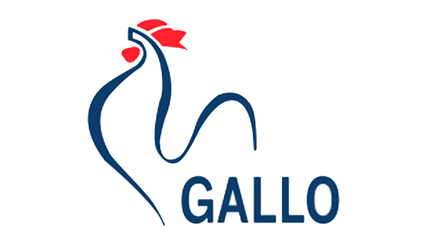 GALLO